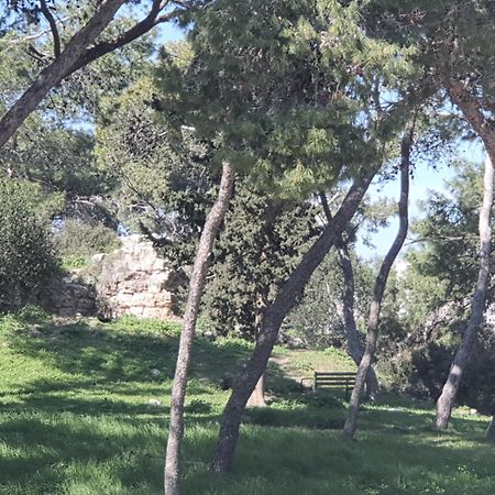 Marom Residence Romema Haifa Eksteriør bilde