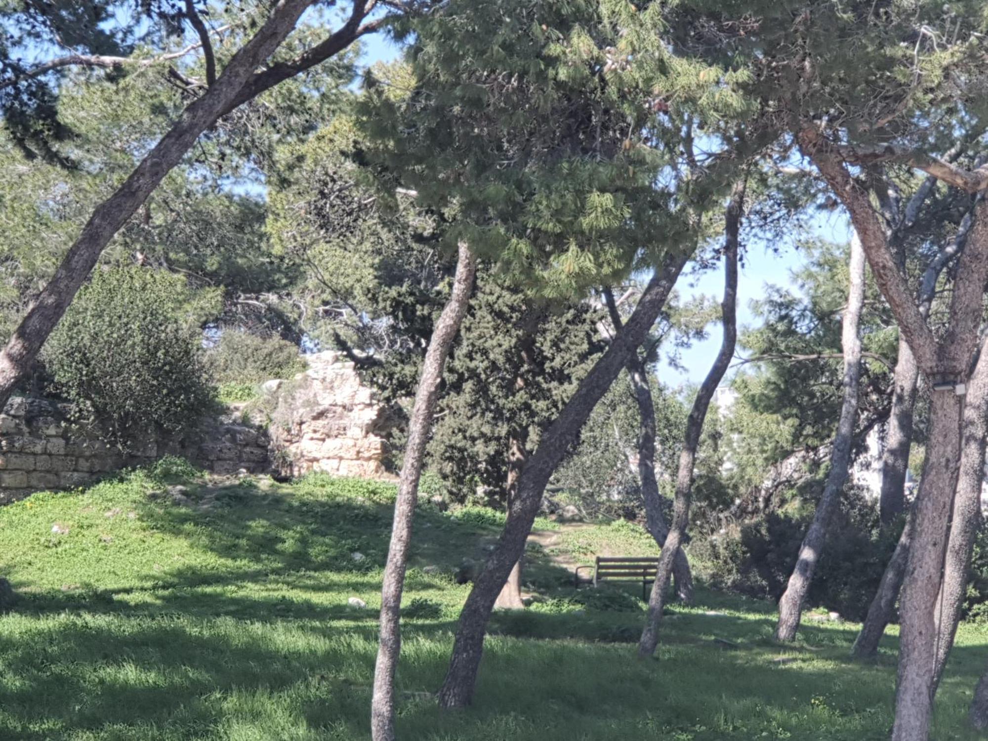 Marom Residence Romema Haifa Eksteriør bilde